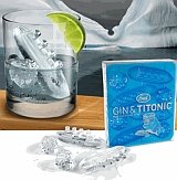 gin_and_titonic.jpg